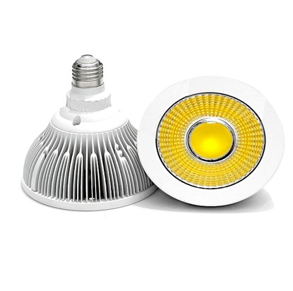 15W COB LED par38