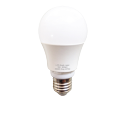 10W LED bulb